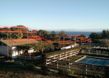 Coastal California Story Pole Surveys