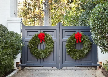 Haul out the Holly – Holiday Prep and Cleaning