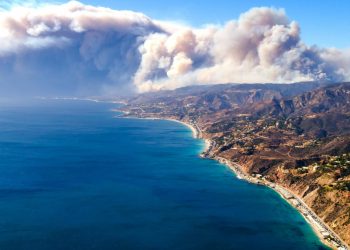 Estate Manual Essentials: The Fire Evacuation Policy