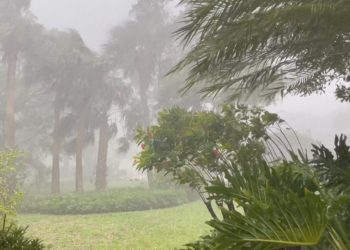 Post-Hurricane Property Inspection